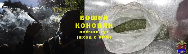 PSILOCYBIN Нея