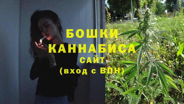 PSILOCYBIN Алексин