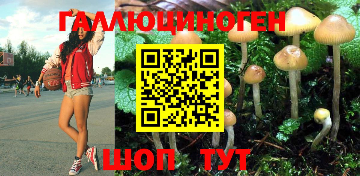 Псилоцибиновые грибы Cubensis Шали