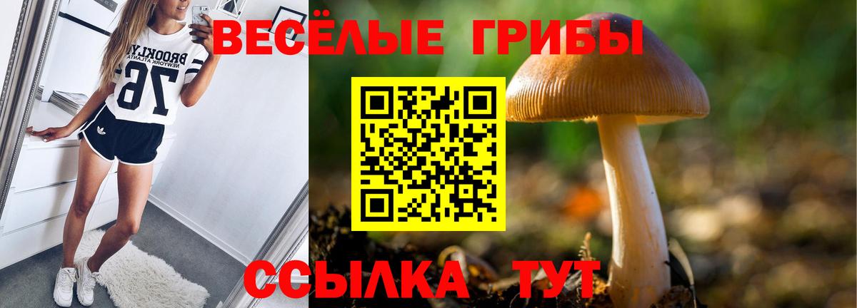 Псилоцибиновые грибы Cubensis  Вход с VPN  Галлюциногенные грибы мухоморы  Шали 